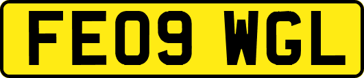 FE09WGL