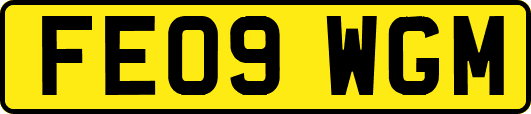 FE09WGM
