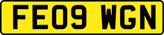 FE09WGN