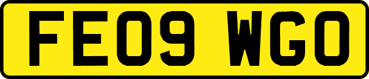 FE09WGO