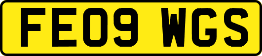 FE09WGS