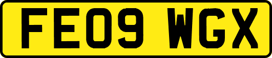 FE09WGX