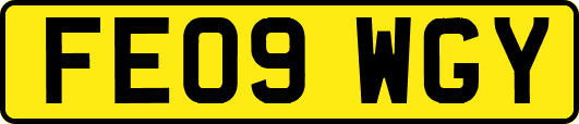 FE09WGY