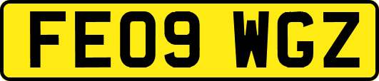 FE09WGZ