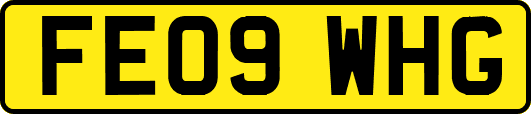 FE09WHG