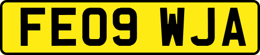 FE09WJA