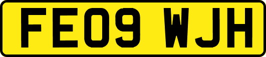 FE09WJH