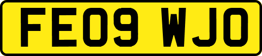 FE09WJO