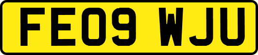FE09WJU