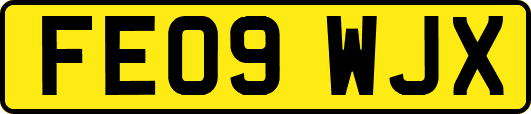 FE09WJX