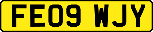 FE09WJY
