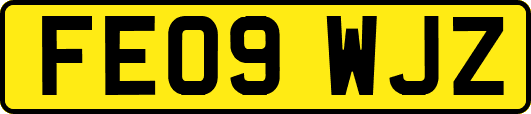 FE09WJZ