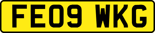 FE09WKG