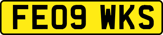 FE09WKS