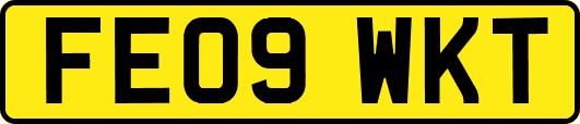 FE09WKT