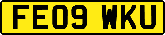 FE09WKU
