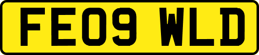 FE09WLD