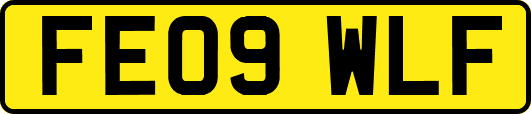 FE09WLF