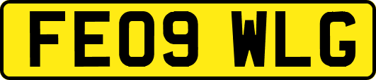 FE09WLG