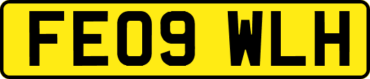 FE09WLH