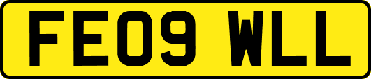 FE09WLL