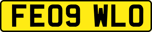 FE09WLO