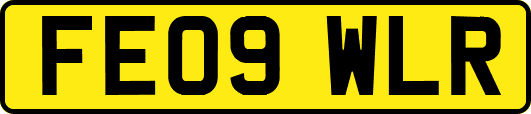 FE09WLR