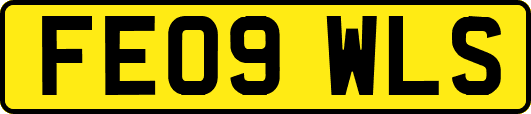 FE09WLS