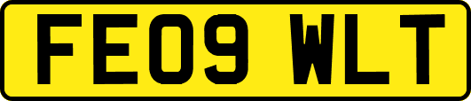 FE09WLT