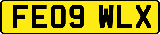 FE09WLX