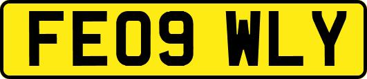 FE09WLY