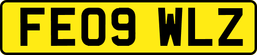FE09WLZ