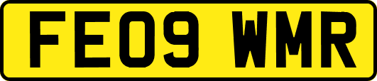 FE09WMR