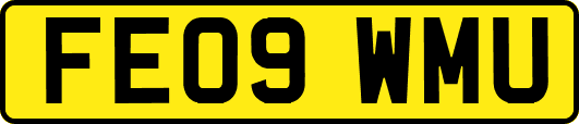 FE09WMU