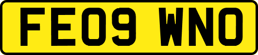 FE09WNO