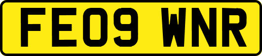 FE09WNR