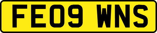 FE09WNS