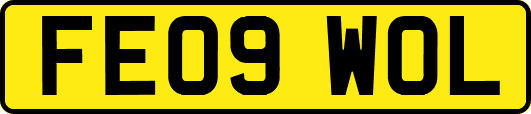 FE09WOL