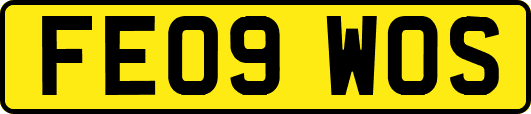 FE09WOS