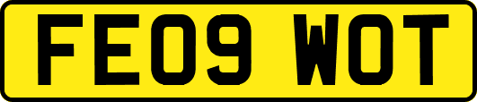 FE09WOT