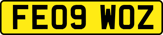FE09WOZ