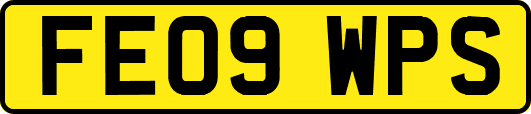 FE09WPS
