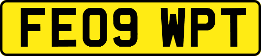 FE09WPT
