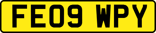 FE09WPY