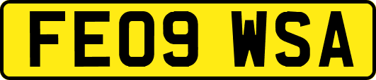 FE09WSA