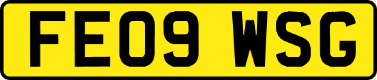 FE09WSG