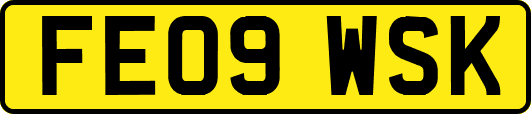 FE09WSK