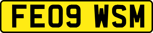 FE09WSM