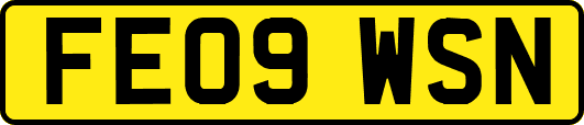 FE09WSN