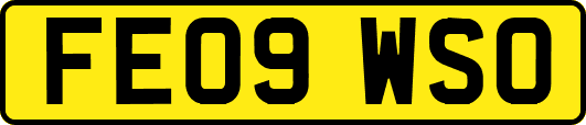 FE09WSO